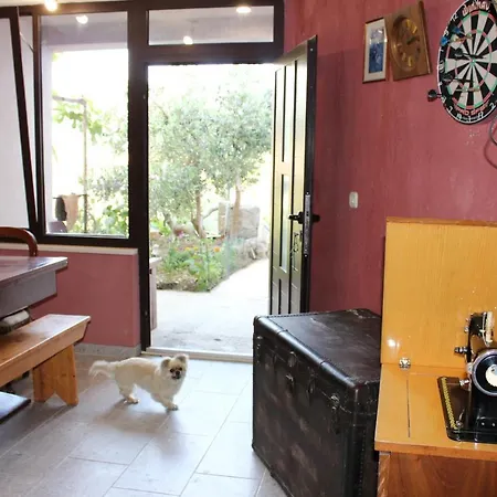 Julie Apartament